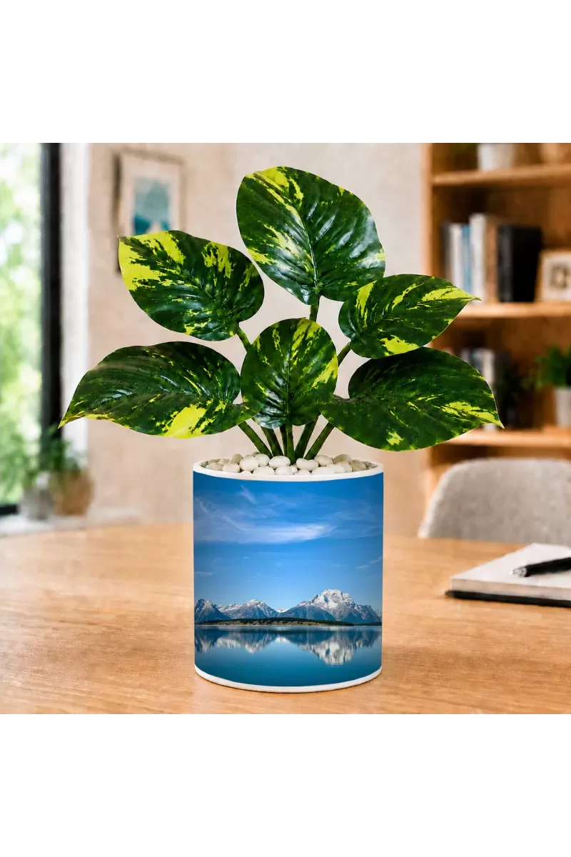 Artificial Tree Ceramic Photo Pot With White Stones 3x4 Inch (F164559)