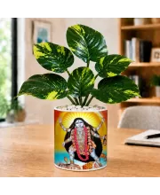 Artificial Tree Ceramic Photo Pot With White Stones 3x4 Inch (F164564)
