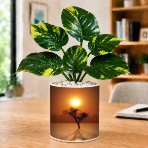 Artificial Tree Ceramic Photo Pot With White Stones 3x4 Inch (F164575)