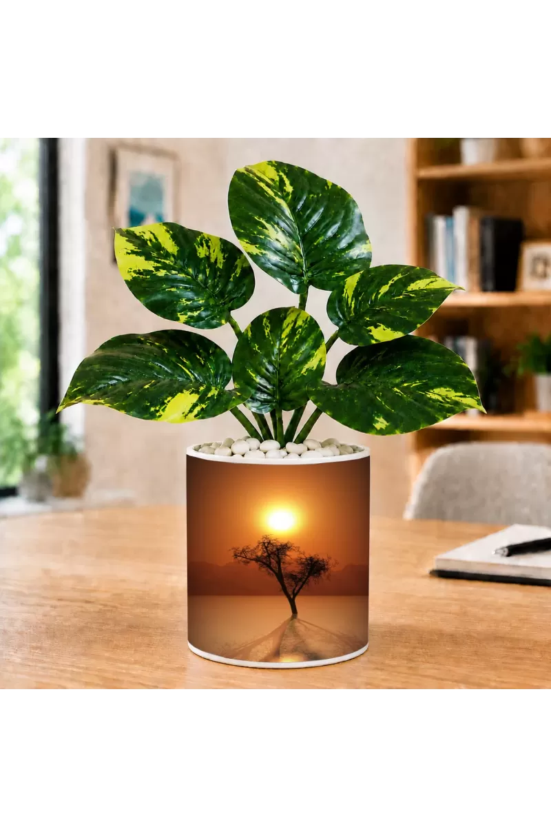 Artificial Tree Ceramic Photo Pot With White Stones 3x4 Inch (F164575)