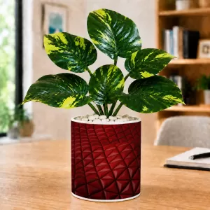 Artificial Tree Ceramic Photo Pot With White Stones 3x4 Inch (F164576)