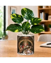 Artificial Tree Ceramic Photo Pot With White Stones 3x4 Inch (F164579)