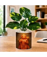 Artificial Tree Ceramic Photo Pot With White Stones 3x4 Inch (F164585)