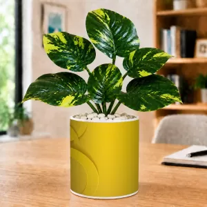 Artificial Tree Ceramic Photo Pot With White Stones 3x4 Inch (F164588) Artificial Tree Ceramic Photo Pot With White Stones 3x4 Inch (F164588)