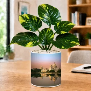 Artificial Tree Ceramic Photo Pot With White Stones 3x4 Inch (F164589) Artificial Tree Ceramic Photo Pot With White Stones 3x4 Inch (F164589)