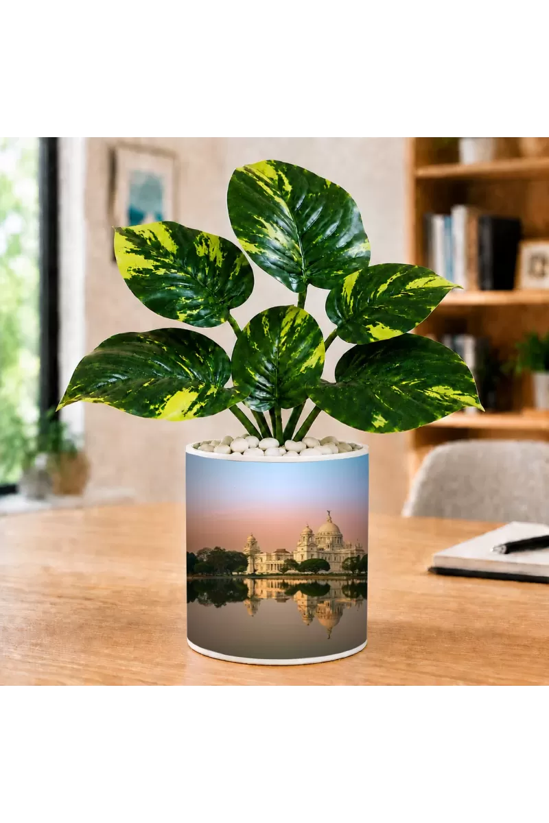 Artificial Tree Ceramic Photo Pot With White Stones 3x4 Inch (F164589)