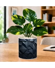 Artificial Tree Ceramic Photo Pot With White Stones 3x4 Inch (F164591)