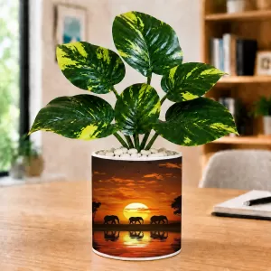 Artificial Tree Ceramic Photo Pot With White Stones 3x4 Inch (F164595) Artificial Tree Ceramic Photo Pot With White Stones 3x4 Inch (F164595)