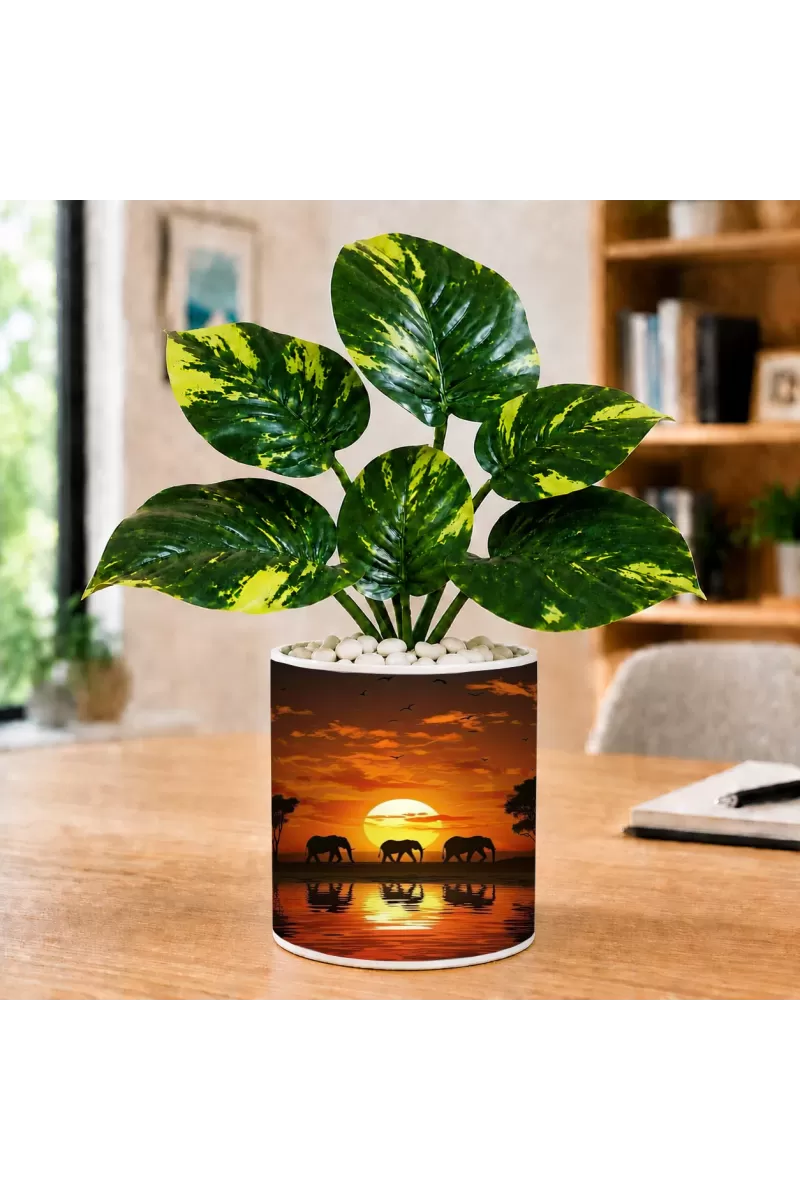 Artificial Tree Ceramic Photo Pot With White Stones 3x4 Inch (F164595)