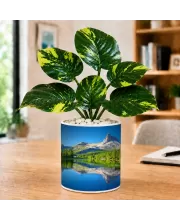 Artificial Tree Ceramic Photo Pot With White Stones 3x4 Inch (F164598)