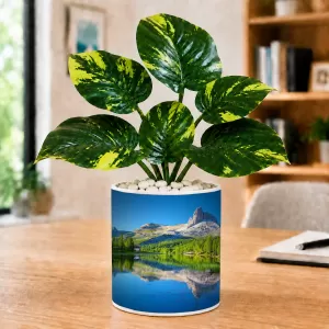 Artificial Tree Ceramic Photo Pot With White Stones 3x4 Inch (F164598) Artificial Tree Ceramic Photo Pot With White Stones 3x4 Inch (F164598)