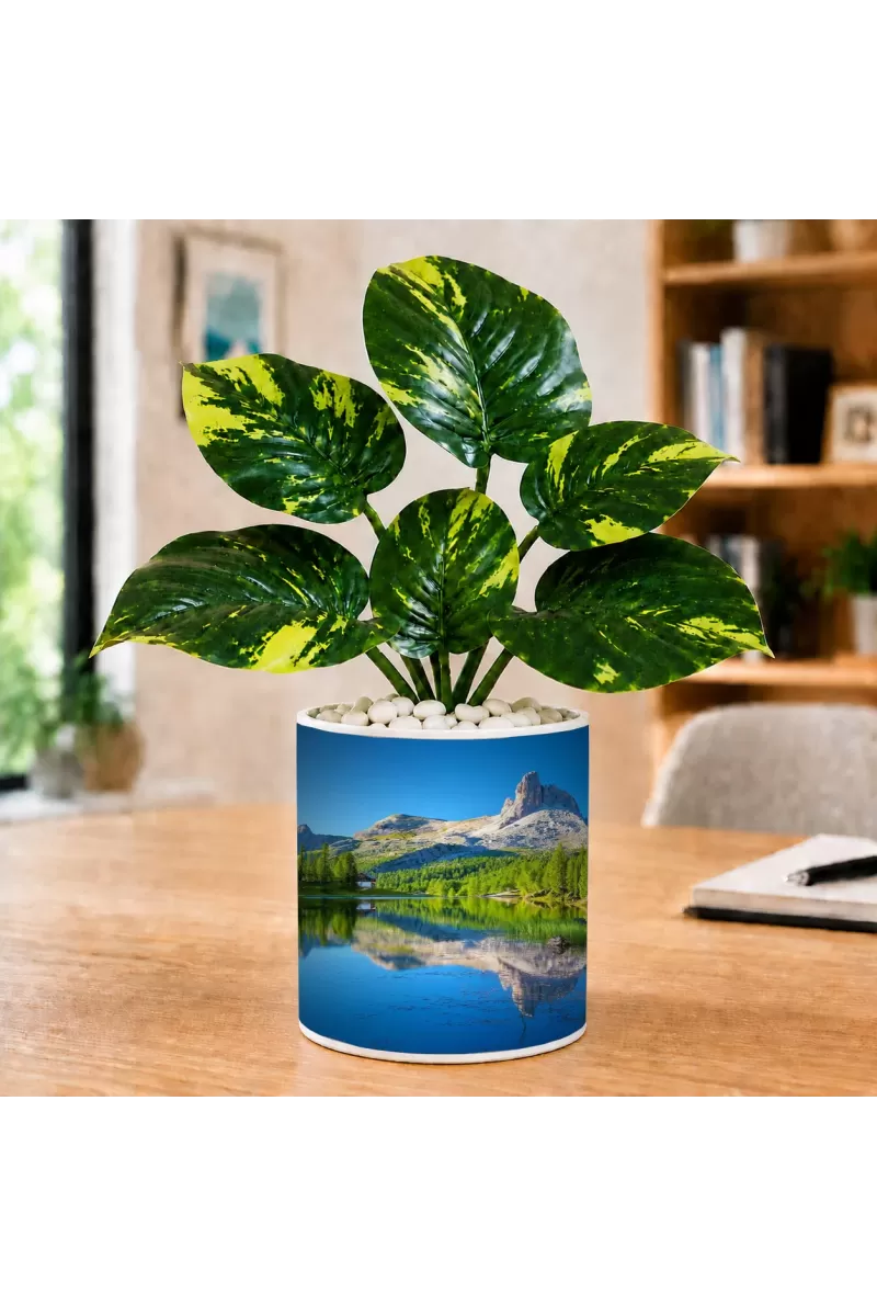 Artificial Tree Ceramic Photo Pot With White Stones 3x4 Inch (F164598)