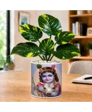 Artificial Tree Ceramic Photo Pot With White Stones 3x4 Inch (F164600)