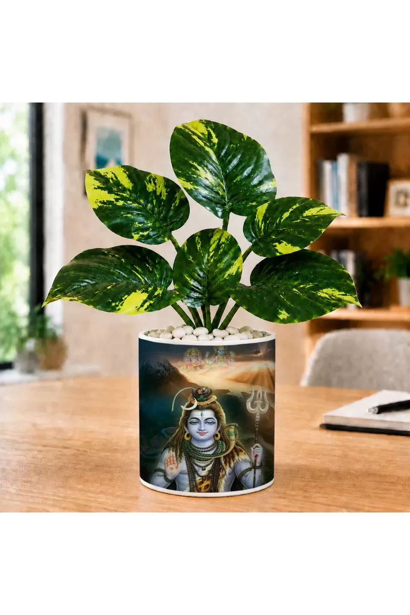 Artificial Tree Ceramic Photo Pot With White Stones 3x4 Inch (F164615)
