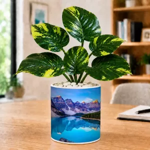 Artificial Tree Ceramic Photo Pot With White Stones 3x4 Inch (F164618) Artificial Tree Ceramic Photo Pot With White Stones 3x4 Inch (F164618)