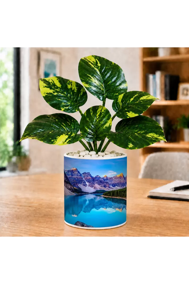 Artificial Tree Ceramic Photo Pot With White Stones 3x4 Inch (F164618)