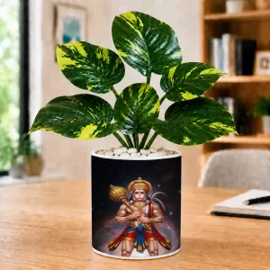 Artificial Tree Ceramic Photo Pot With White Stones 3x4 Inch (F164626) Artificial Tree Ceramic Photo Pot With White Stones 3x4 Inch (F164626)