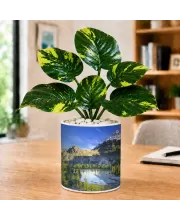 Artificial Tree Ceramic Photo Pot With White Stones 3x4 Inch (F164632)