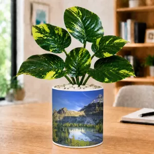 Artificial Tree Ceramic Photo Pot With White Stones 3x4 Inch (F164632) Artificial Tree Ceramic Photo Pot With White Stones 3x4 Inch (F164632)