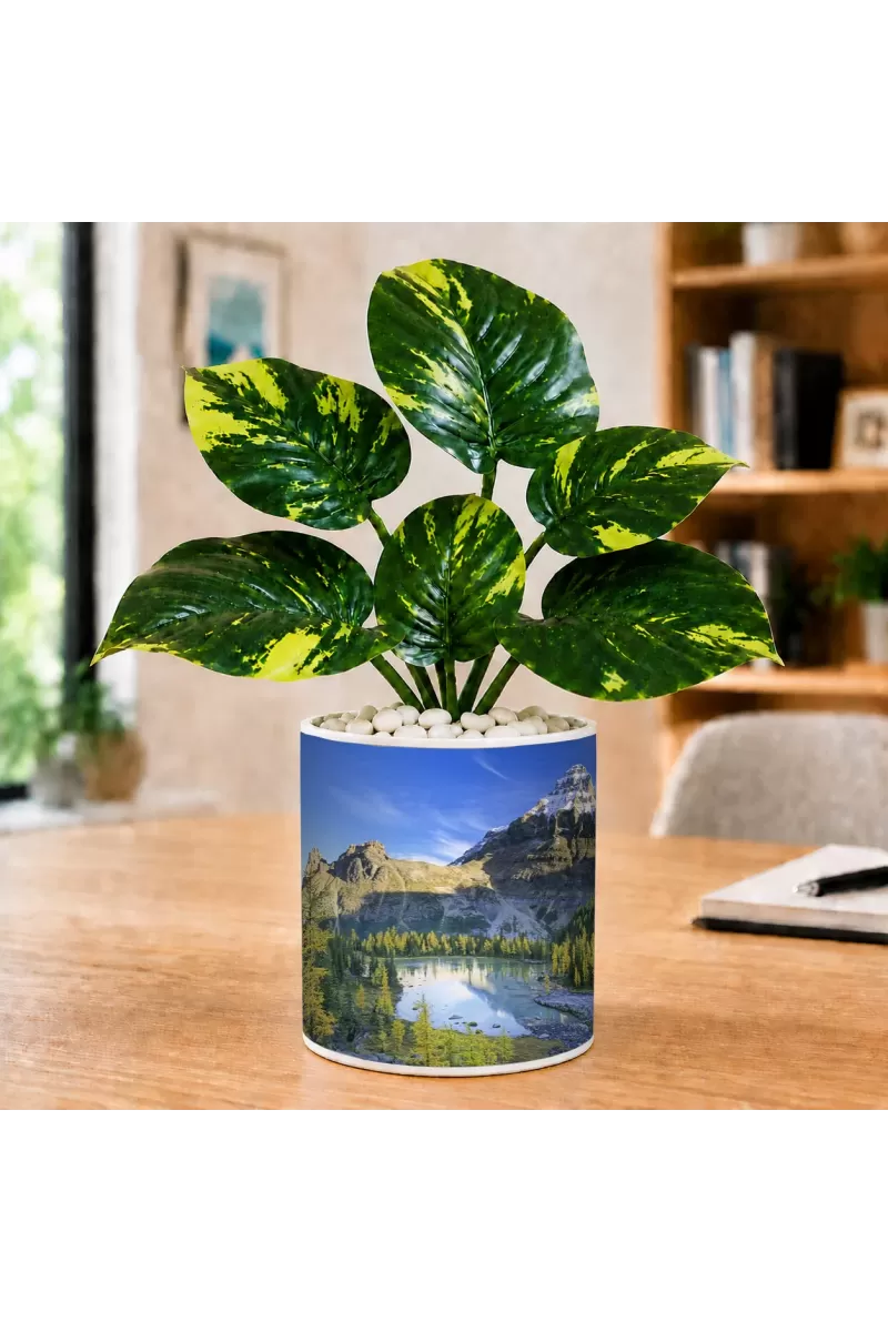 Artificial Tree Ceramic Photo Pot With White Stones 3x4 Inch (F164632)