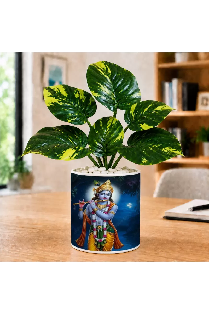 Artificial Tree Ceramic Photo Pot With White Stones 3x4 Inch (F164640)