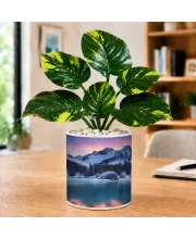 Artificial Tree Ceramic Photo Pot With White Stones 3x4 Inch (F164647)