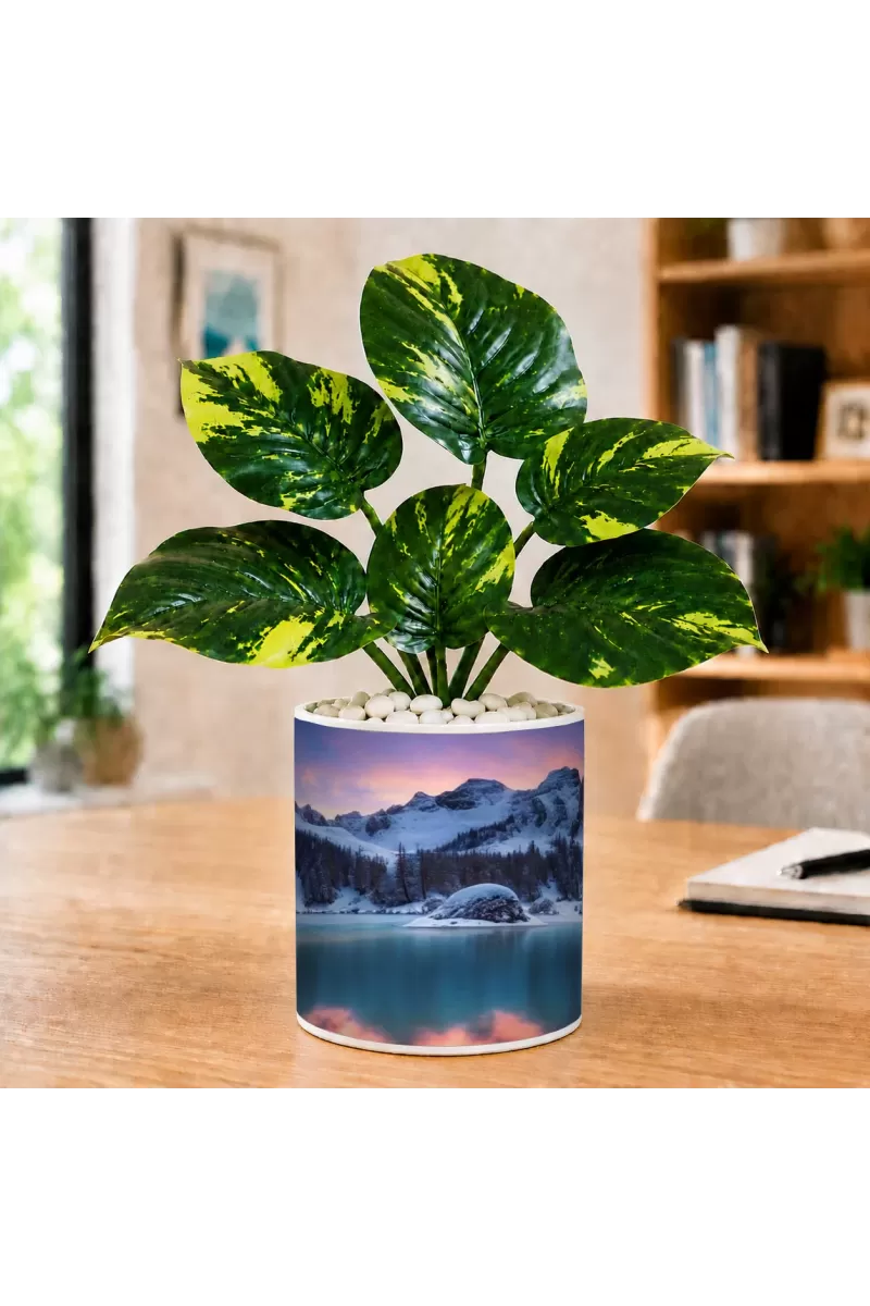 Artificial Tree Ceramic Photo Pot With White Stones 3x4 Inch (F164647)