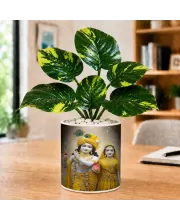 Artificial Tree Ceramic Photo Pot With White Stones 3x4 Inch (F164651)