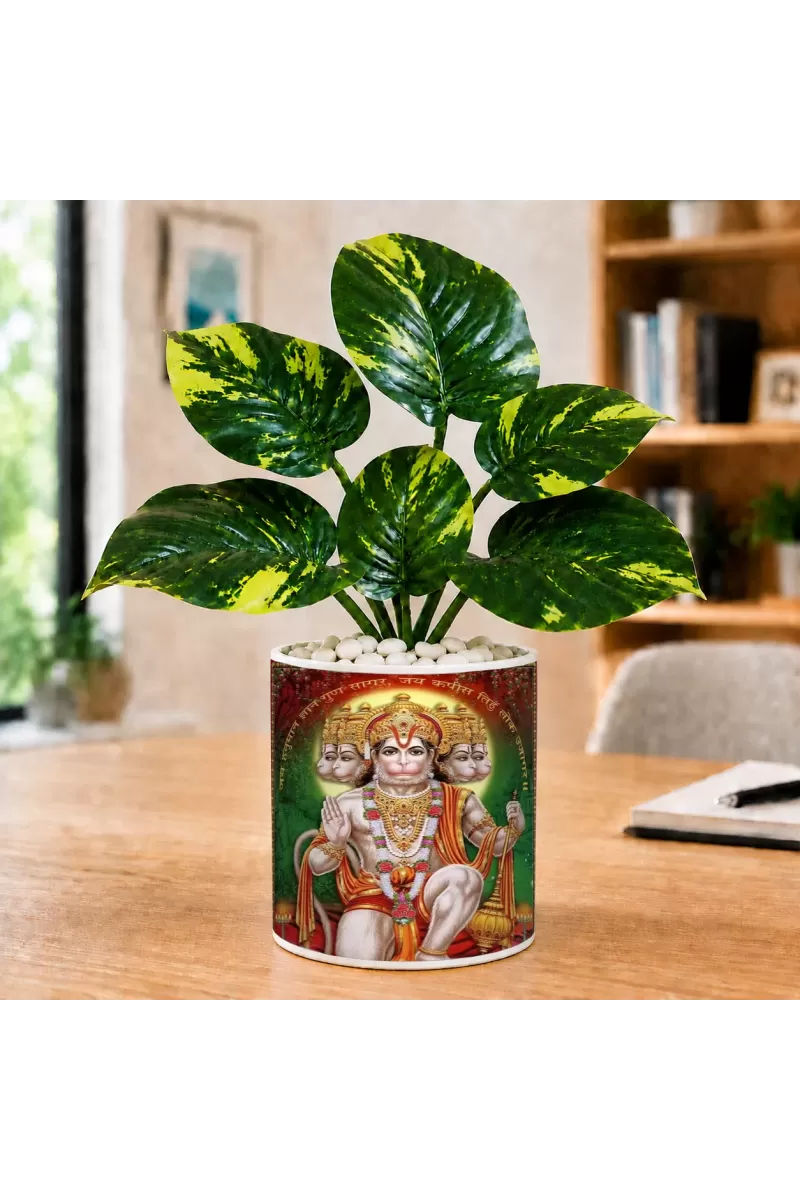 Artificial Tree Ceramic Photo Pot With White Stones 3x4 Inch (F164668)
