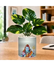 Artificial Tree Ceramic Photo Pot With White Stones 3x4 Inch (F164669)