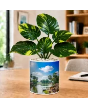 Artificial Tree Ceramic Photo Pot With White Stones 3x4 Inch (F164673)