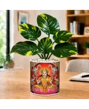 Artificial Tree Ceramic Photo Pot With White Stones 3x4 Inch (F164674)