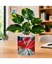 Artificial Tree Ceramic Photo Pot With White Stones 3x4 Inch (F164676)