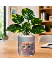 Artificial Tree Ceramic Photo Pot With White Stones 3x4 Inch (F164688)