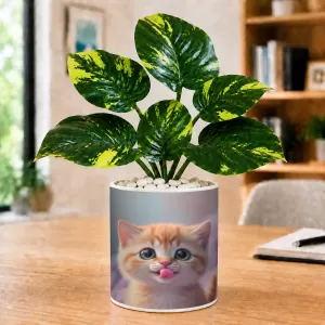 Artificial Tree Ceramic Photo Pot With White Stones 3x4 Inch (F164688) Artificial Tree Ceramic Photo Pot With White Stones 3x4 Inch (F164688)
