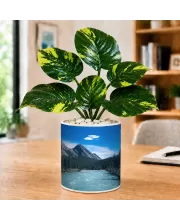 Artificial Tree Ceramic Photo Pot With White Stones 3x4 Inch (F164690)