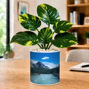 Artificial Tree Ceramic Photo Pot With White Stones 3x4 Inch (F164690) Artificial Tree Ceramic Photo Pot With White Stones 3x4 Inch (F164690)