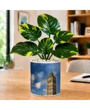 Artificial Tree Ceramic Photo Pot With White Stones 3x4 Inch (F164699)