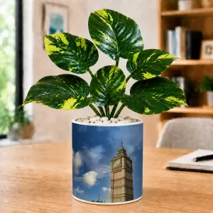 Artificial Tree Ceramic Photo Pot With White Stones 3x4 Inch (F164699) Artificial Tree Ceramic Photo Pot With White Stones 3x4 Inch (F164699)