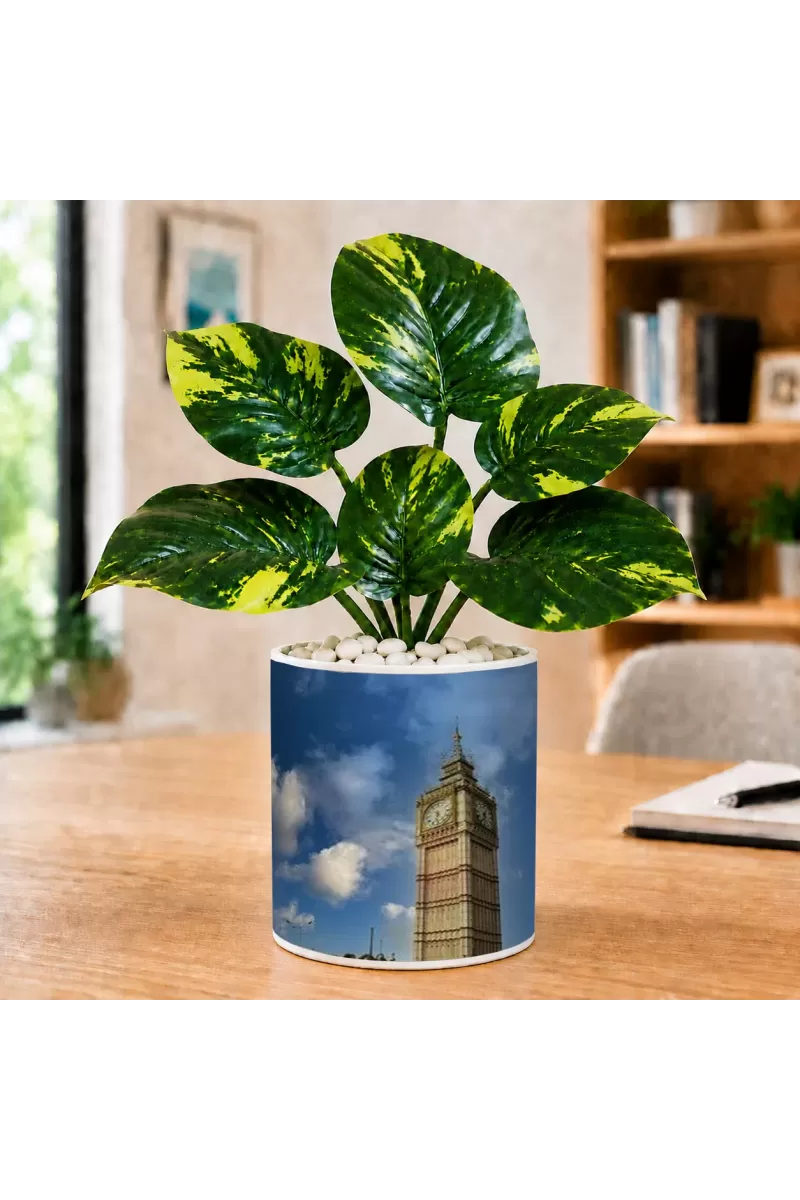 Artificial Tree Ceramic Photo Pot With White Stones 3x4 Inch (F164699)