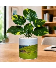 Artificial Tree Ceramic Photo Pot With White Stones 3x4 Inch (F164705)
