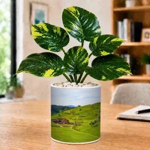 Artificial Tree Ceramic Photo Pot With White Stones 3x4 Inch (F164705) Artificial Tree Ceramic Photo Pot With White Stones 3x4 Inch (F164705)