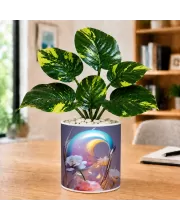 Artificial Tree Ceramic Photo Pot With White Stones 3x4 Inch (F164711)