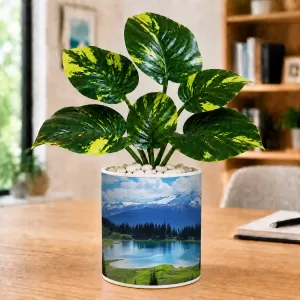 Artificial Tree Ceramic Photo Pot With White Stones 3x4 Inch (F164715) Artificial Tree Ceramic Photo Pot With White Stones 3x4 Inch (F164715)