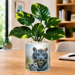 Artificial Tree Ceramic Photo Pot With White Stones 3x4 Inch (F164718) Artificial Tree Ceramic Photo Pot With White Stones 3x4 Inch (F164718)