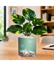 Artificial Tree Ceramic Photo Pot With White Stones 3x4 Inch (F164725)