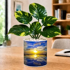 Artificial Tree Ceramic Photo Pot With White Stones 3x4 Inch (F164733) Artificial Tree Ceramic Photo Pot With White Stones 3x4 Inch (F164733)