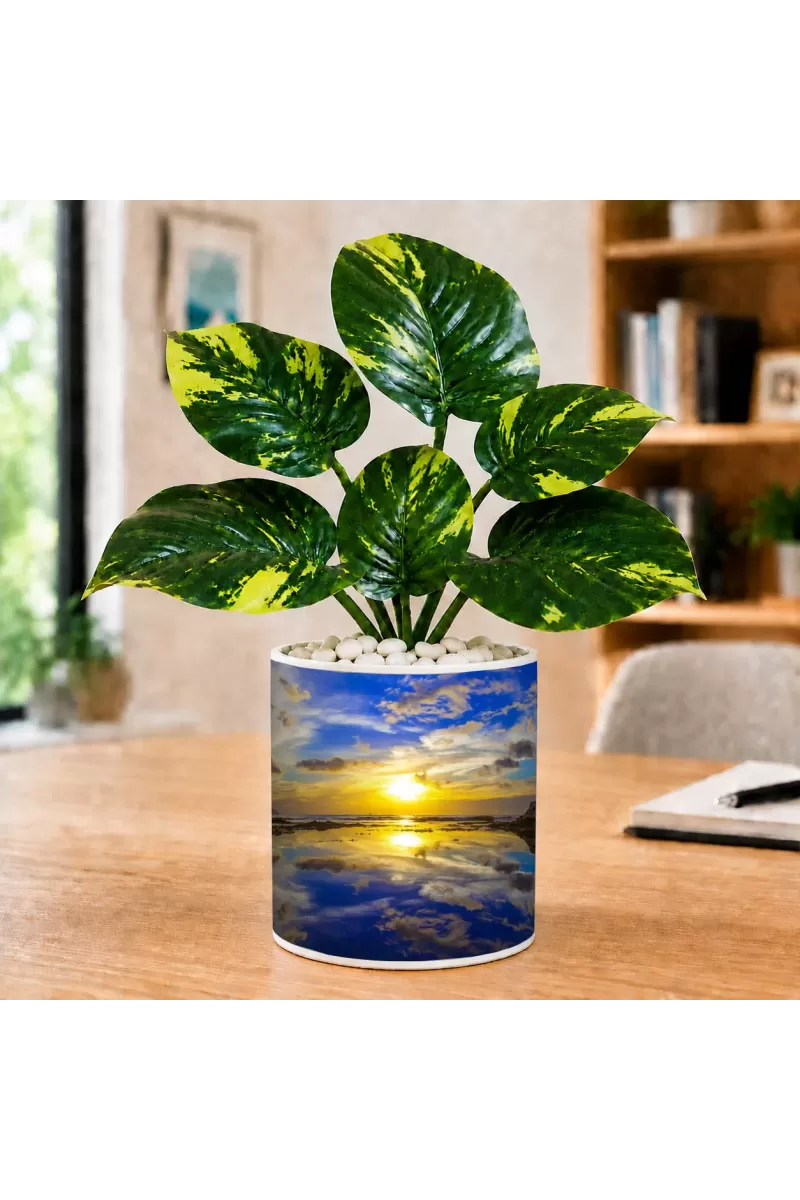 Artificial Tree Ceramic Photo Pot With White Stones 3x4 Inch (F164733)