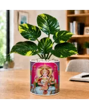 Artificial Tree Ceramic Photo Pot With White Stones 3x4 Inch (F164737)