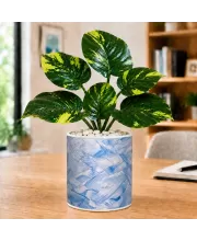 Artificial Tree Ceramic Photo Pot With White Stones 3x4 Inch (F164753)